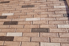 izobrazhenie_viber_2019-03-21_09-53-23